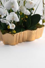 Luxury Gold Orkide (7 dallı)